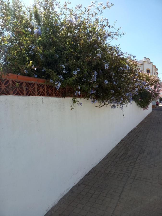 Por Do Sol Hotel Vila Nova de Milfontes Bagian luar foto